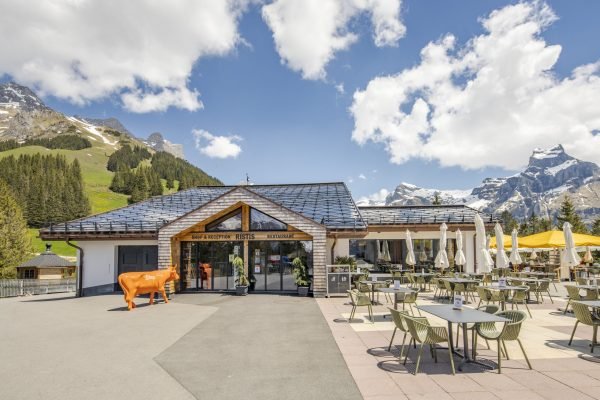 SunStyle | SunStyle_Solarziegel_Ristis__Ziegel_Seitenansicht