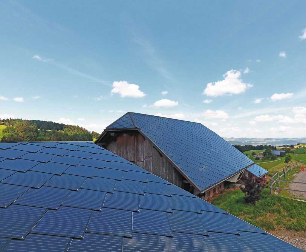Where to buy solar shingles?